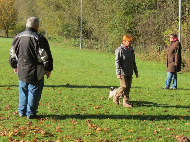 Begleithundeprüfung Herbst 2015