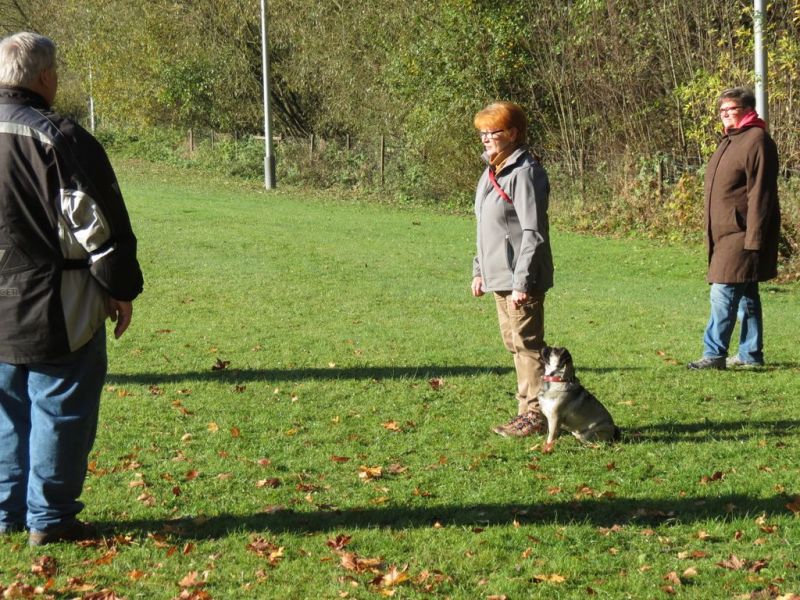 Begleithundeprüfung Herbst 2015