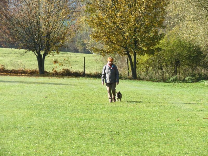Begleithundeprüfung Herbst 2015