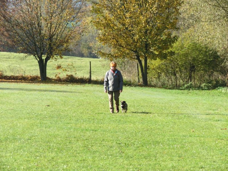 Begleithundeprüfung Herbst 2015