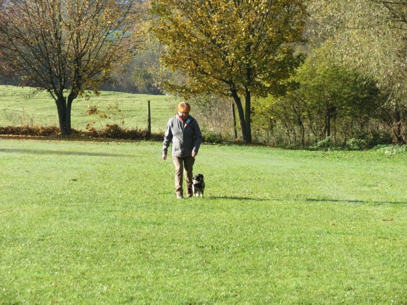 Begleithundeprüfung Herbst 2015