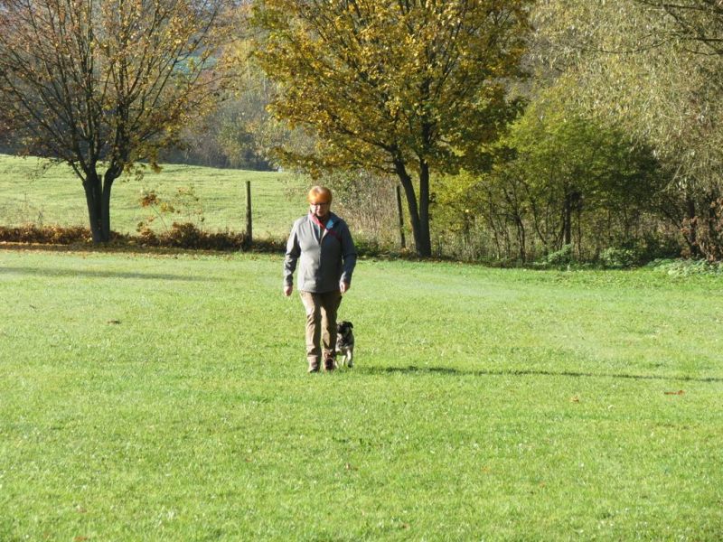 Begleithundeprüfung Herbst 2015