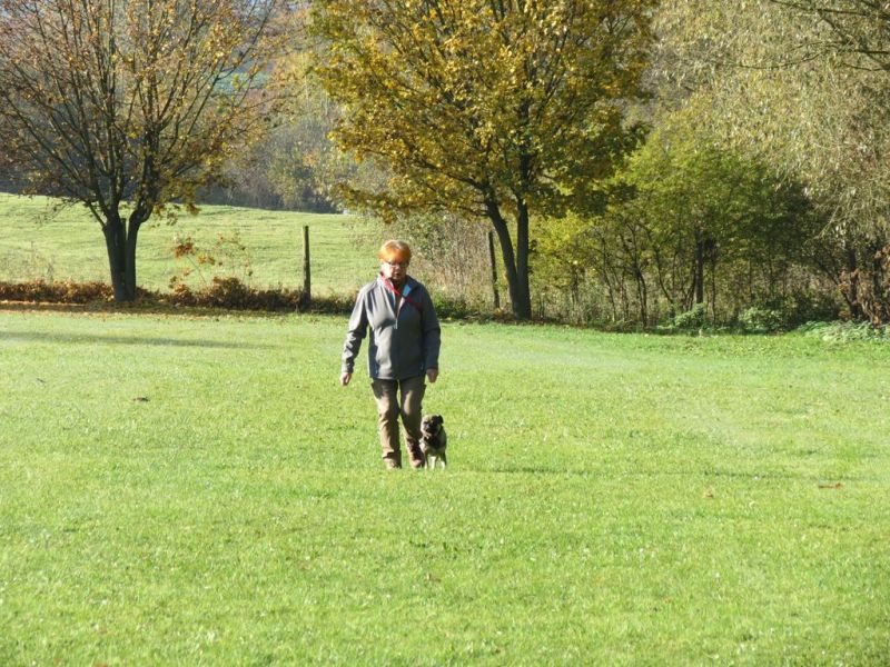 Begleithundeprüfung Herbst 2015