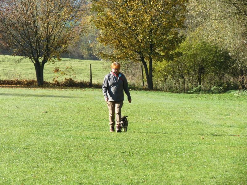 Begleithundeprüfung Herbst 2015