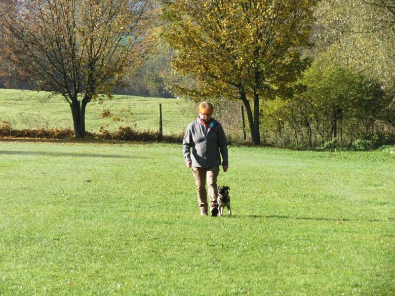 Begleithundeprüfung Herbst 2015