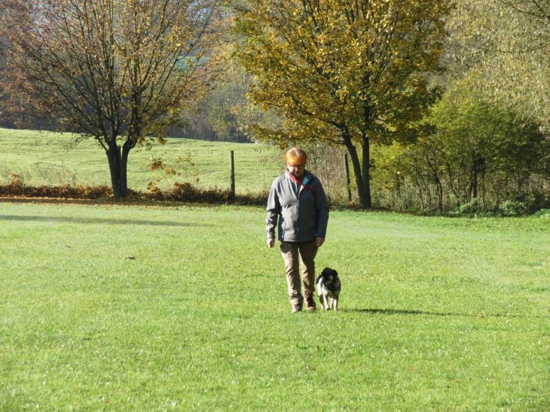 Begleithundeprüfung Herbst 2015