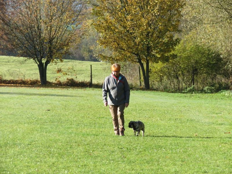 Begleithundeprüfung Herbst 2015