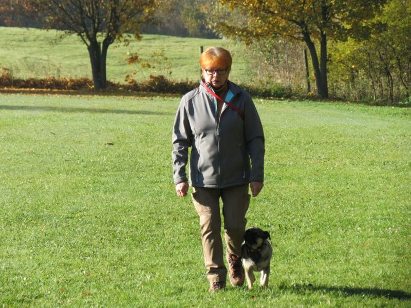 Begleithundeprüfung Herbst 2015