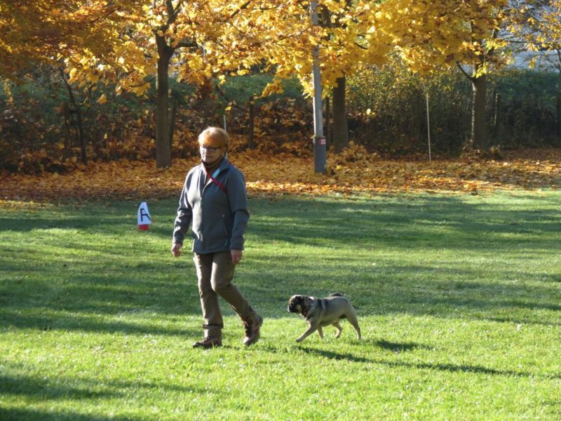 Begleithundeprüfung Herbst 2015