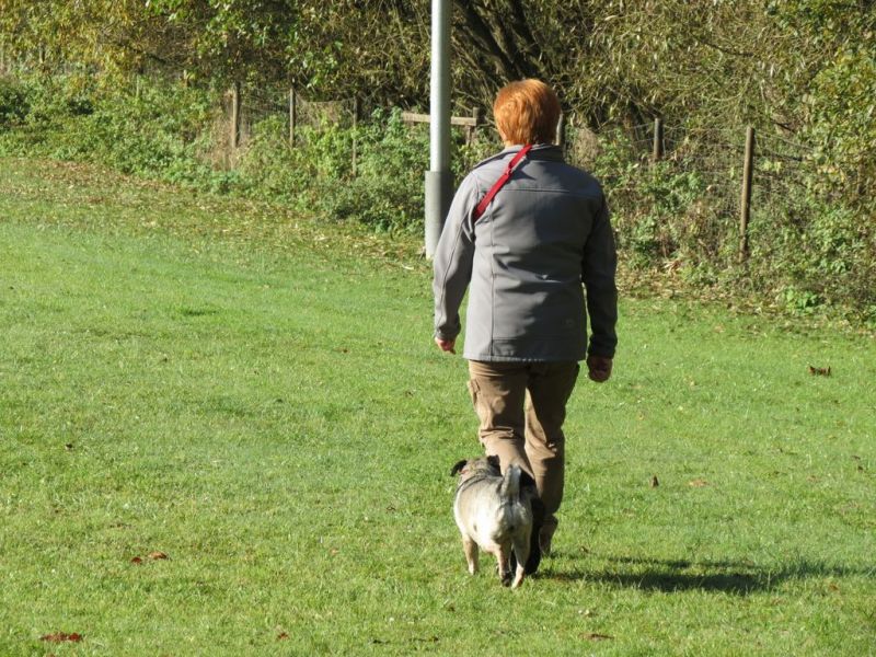 Begleithundeprüfung Herbst 2015
