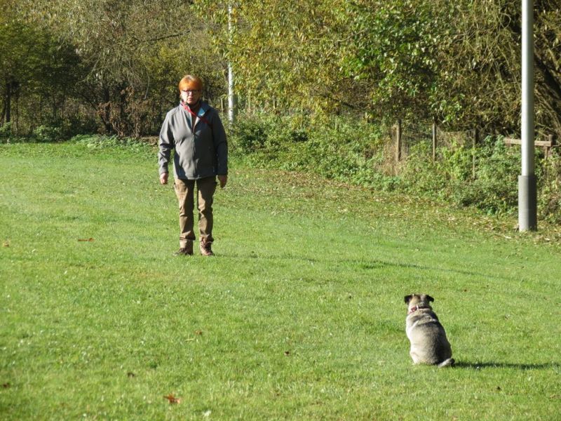 Begleithundeprüfung Herbst 2015
