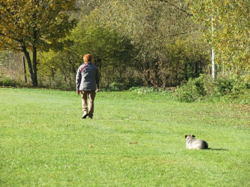 Begleithundeprüfung Herbst 2015