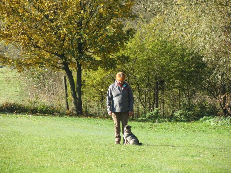 Begleithundeprüfung Herbst 2015