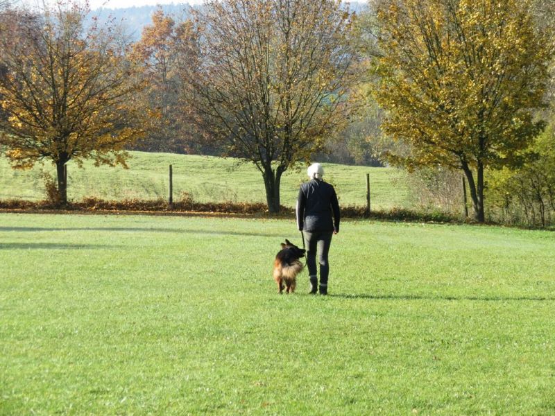 Begleithundeprüfung Herbst 2015