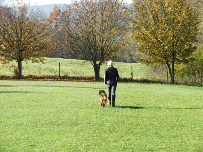 Begleithundeprüfung Herbst 2015