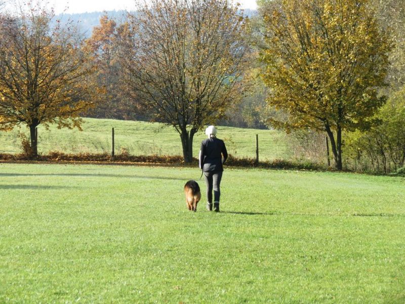 Begleithundeprüfung Herbst 2015