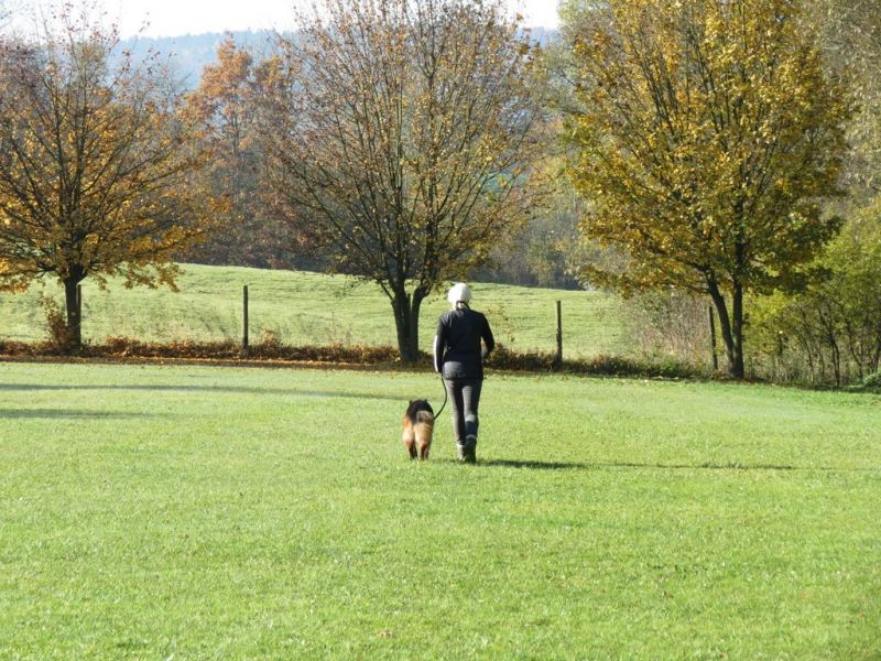 Begleithundeprüfung Herbst 2015