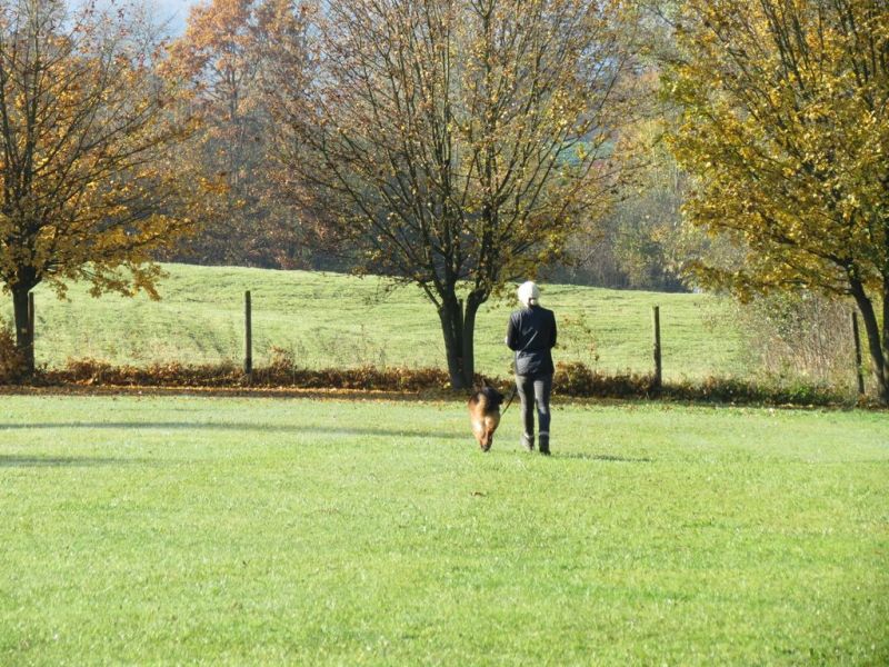 Begleithundeprüfung Herbst 2015
