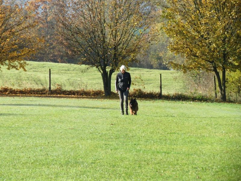 Begleithundeprüfung Herbst 2015