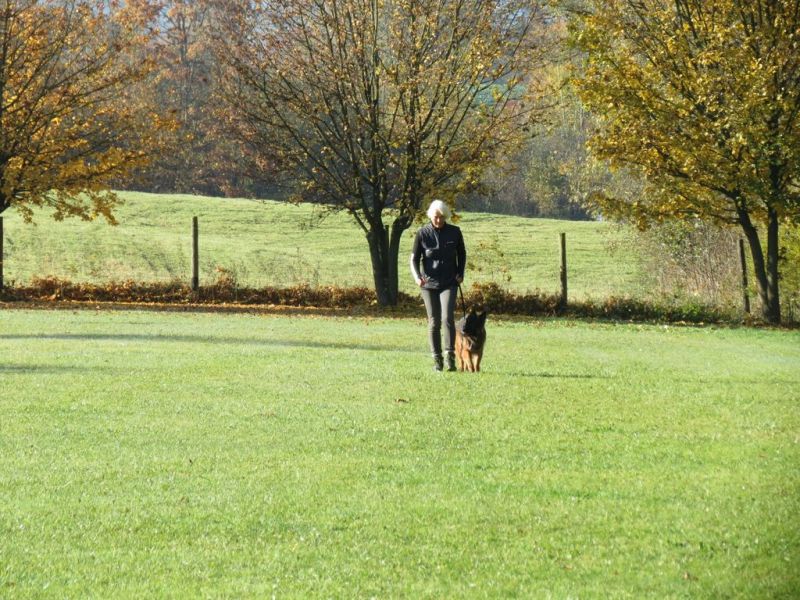 Begleithundeprüfung Herbst 2015