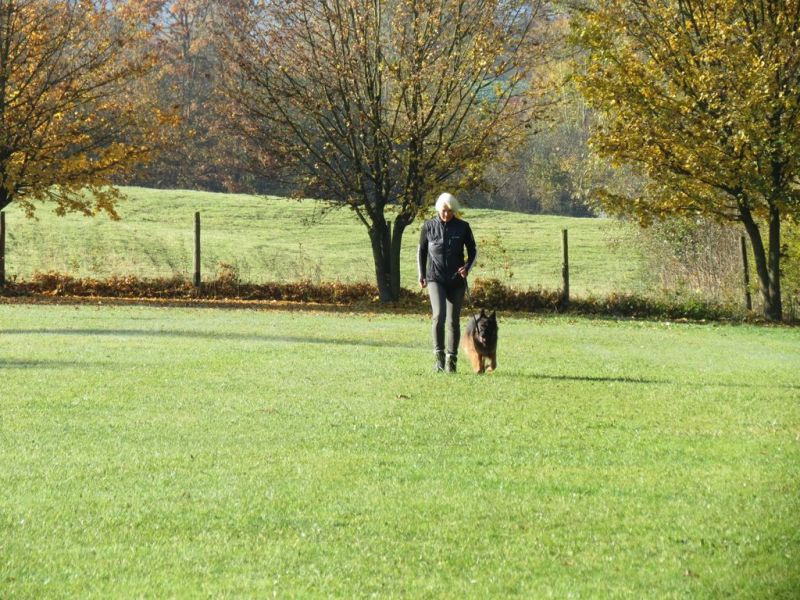 Begleithundeprüfung Herbst 2015