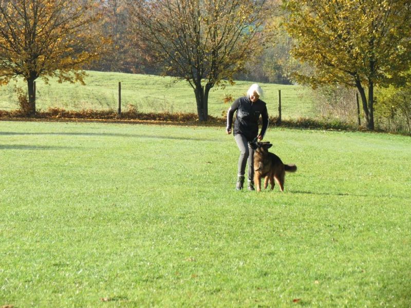 Begleithundeprüfung Herbst 2015
