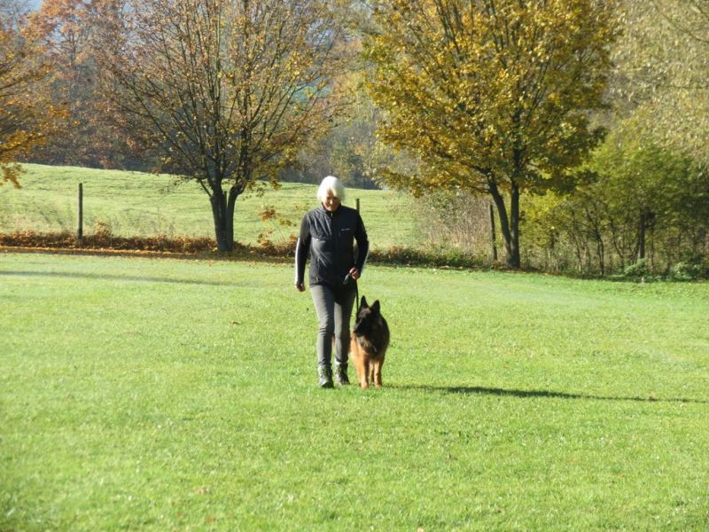 Begleithundeprüfung Herbst 2015