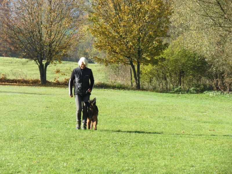 Begleithundeprüfung Herbst 2015