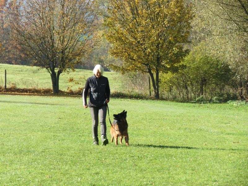 Begleithundeprüfung Herbst 2015