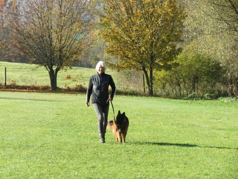 Begleithundeprüfung Herbst 2015