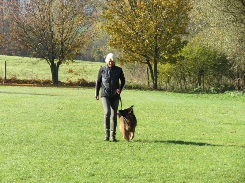 Begleithundeprüfung Herbst 2015