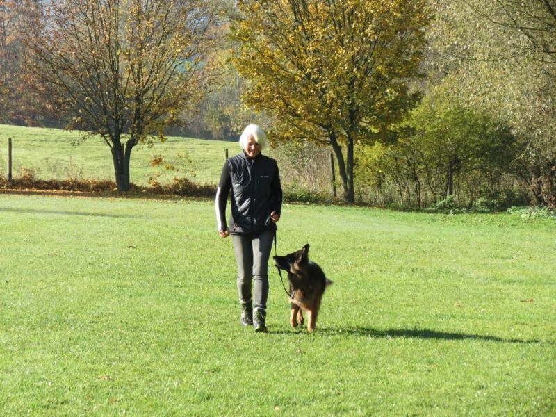 Begleithundeprüfung Herbst 2015