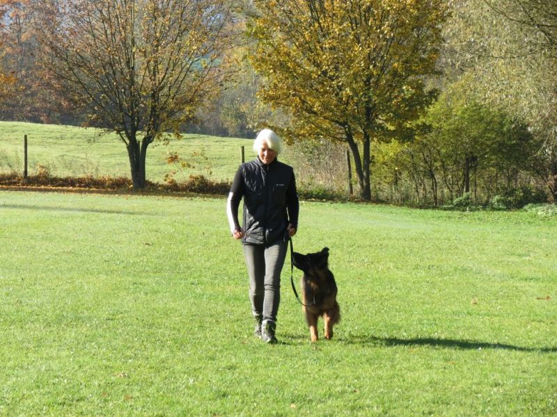 Begleithundeprüfung Herbst 2015