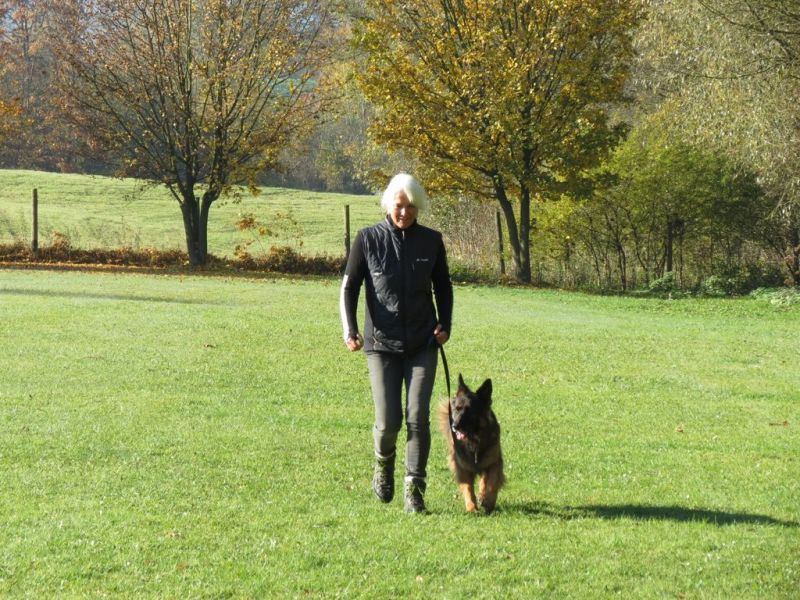 Begleithundeprüfung Herbst 2015