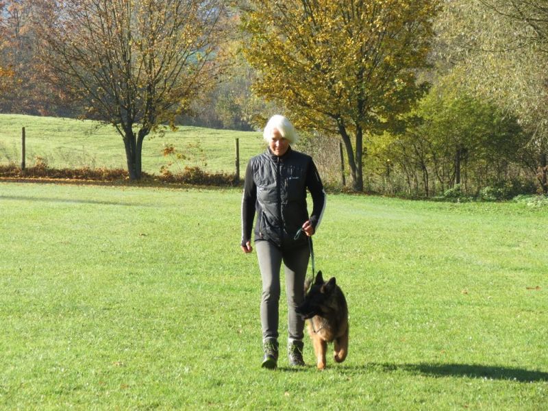Begleithundeprüfung Herbst 2015