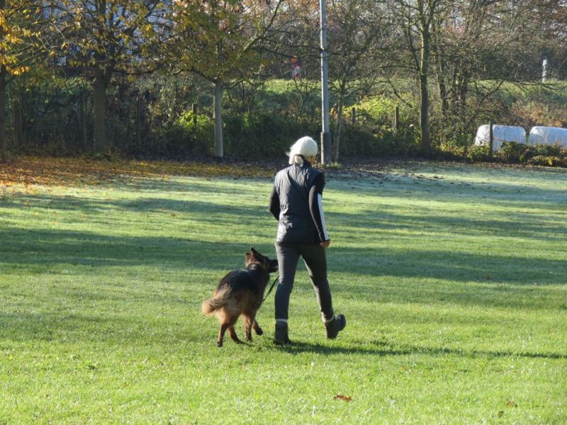 Begleithundeprüfung Herbst 2015