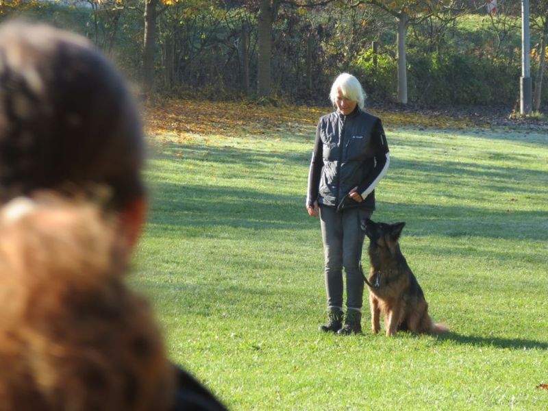 Begleithundeprüfung Herbst 2015