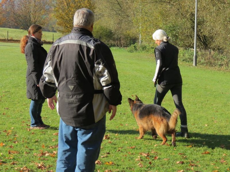 Begleithundeprüfung Herbst 2015