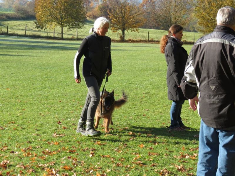 Begleithundeprüfung Herbst 2015