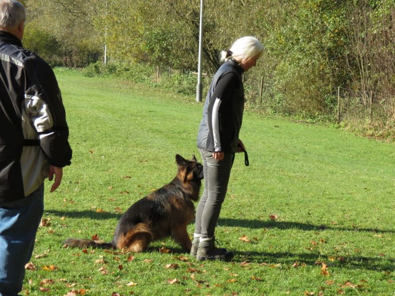 Begleithundeprüfung Herbst 2015