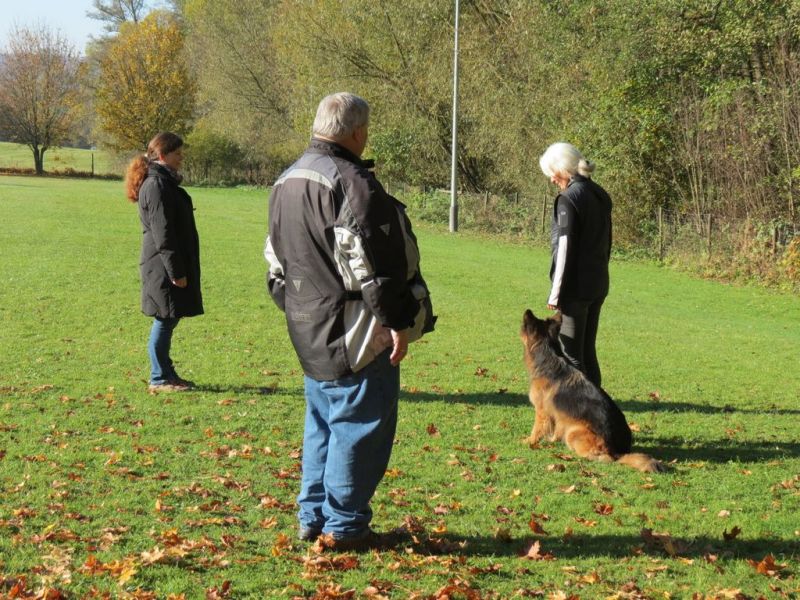 Begleithundeprüfung Herbst 2015
