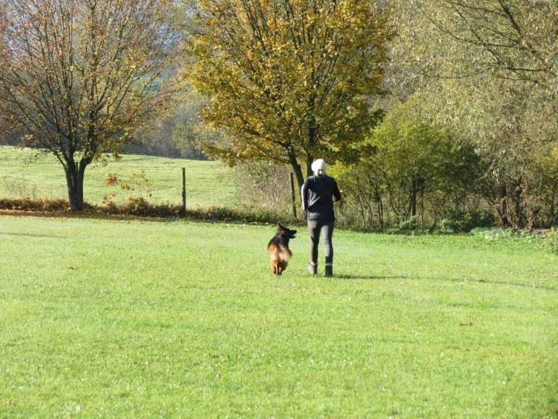 Begleithundeprüfung Herbst 2015