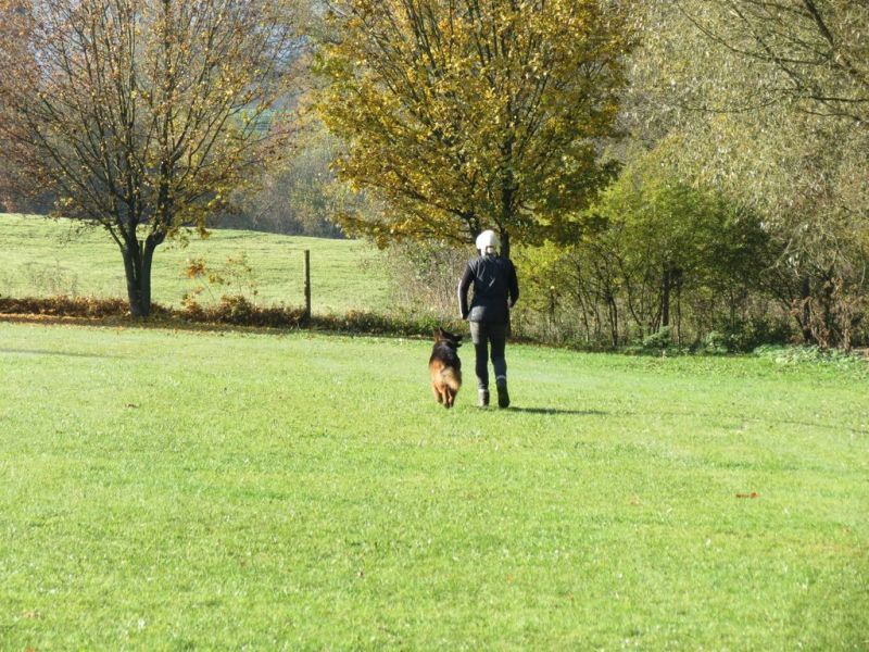 Begleithundeprüfung Herbst 2015