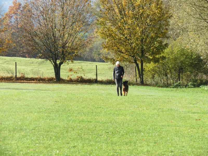 Begleithundeprüfung Herbst 2015