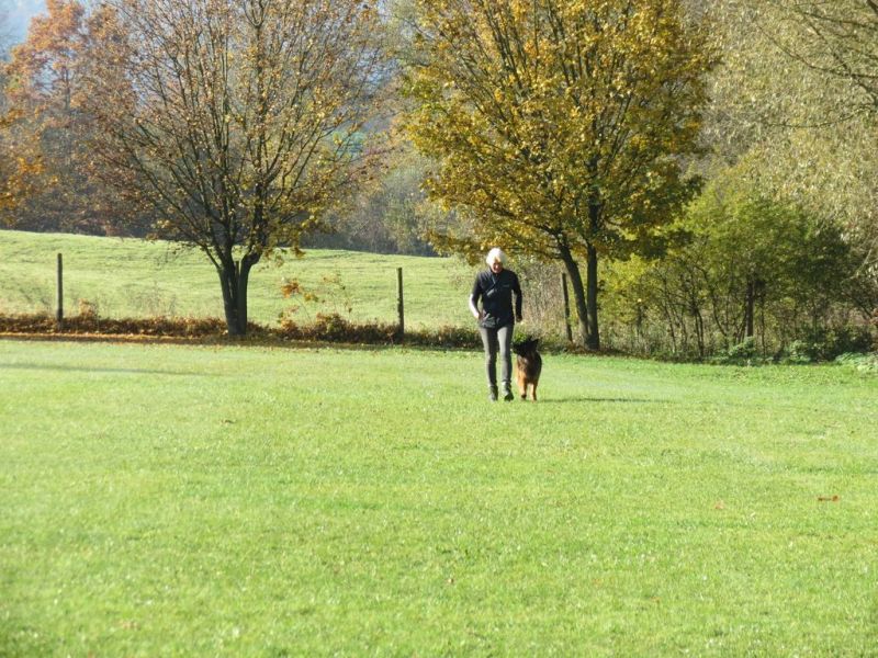 Begleithundeprüfung Herbst 2015