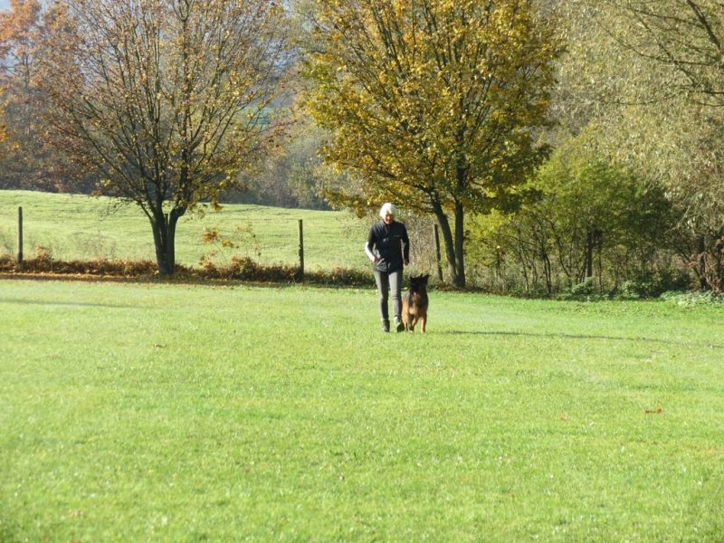 Begleithundeprüfung Herbst 2015