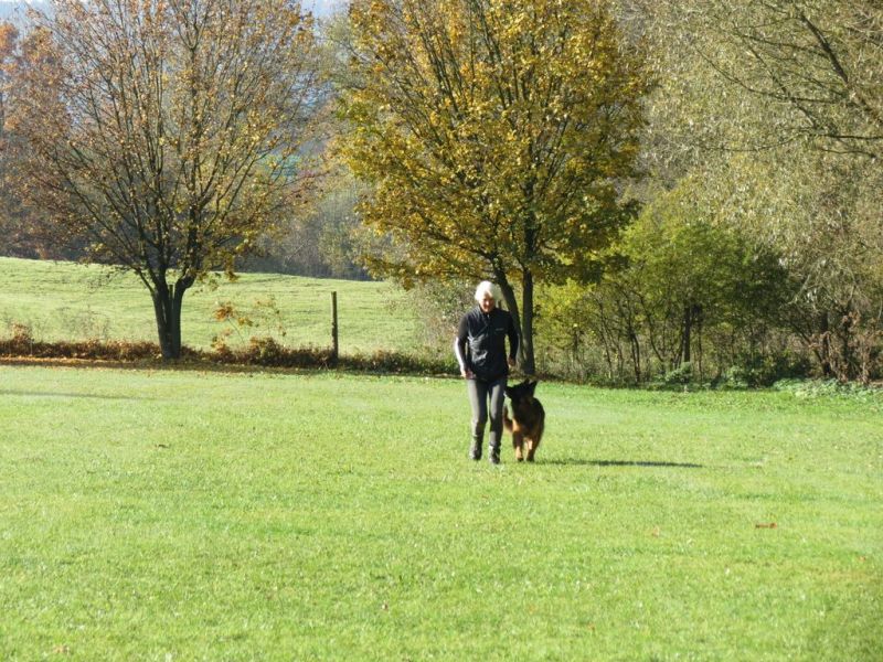Begleithundeprüfung Herbst 2015