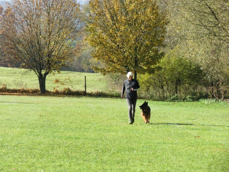 Begleithundeprüfung Herbst 2015