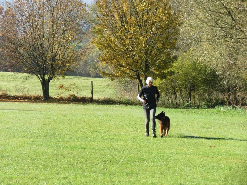Begleithundeprüfung Herbst 2015