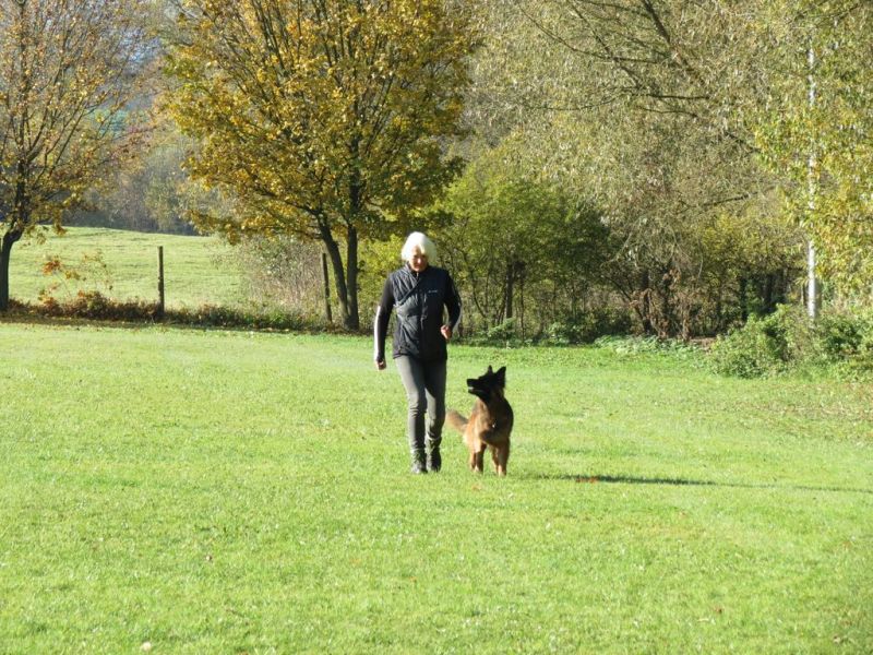 Begleithundeprüfung Herbst 2015